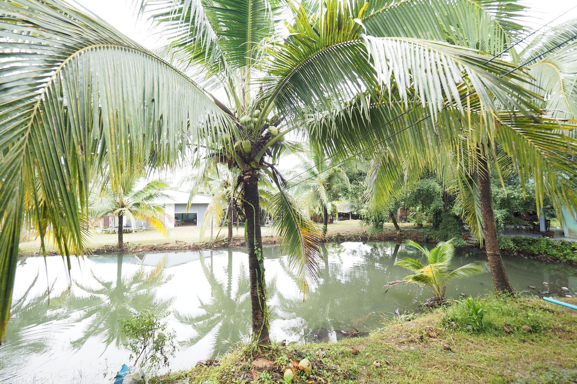 Oyo 75515 Sairung Farmstay Krabi town Exterior foto